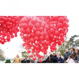 Asta con valvola per palloncini helicup rossa